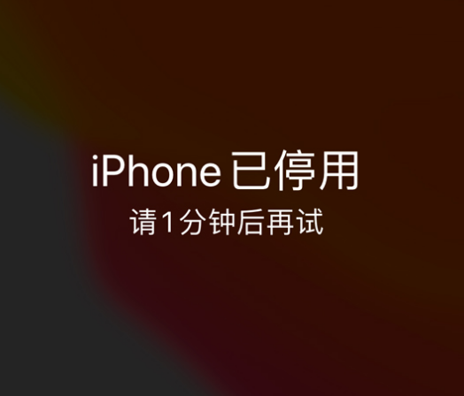 和平苹果手机维修分享:iPhone 显示“不可用”或“已停用”怎么办？还能保留数据吗？ 