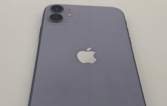 和平苹果11系统维修分享iPhone11手机系统崩溃无法开机如何解决 